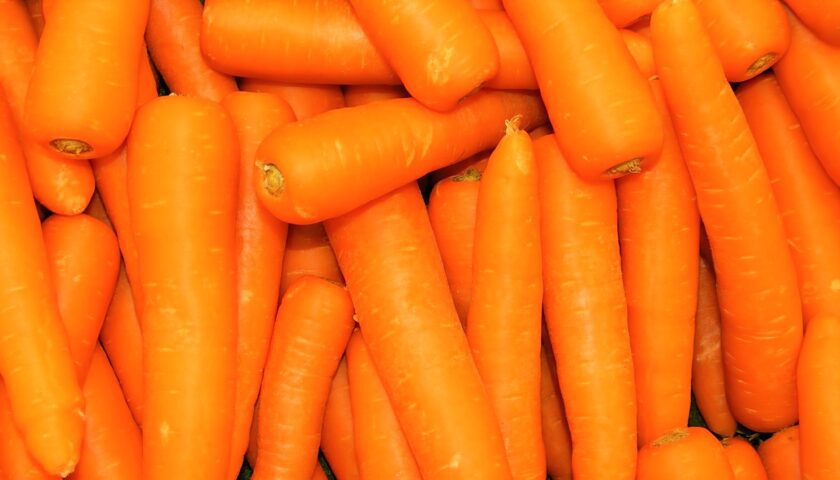 Carrot