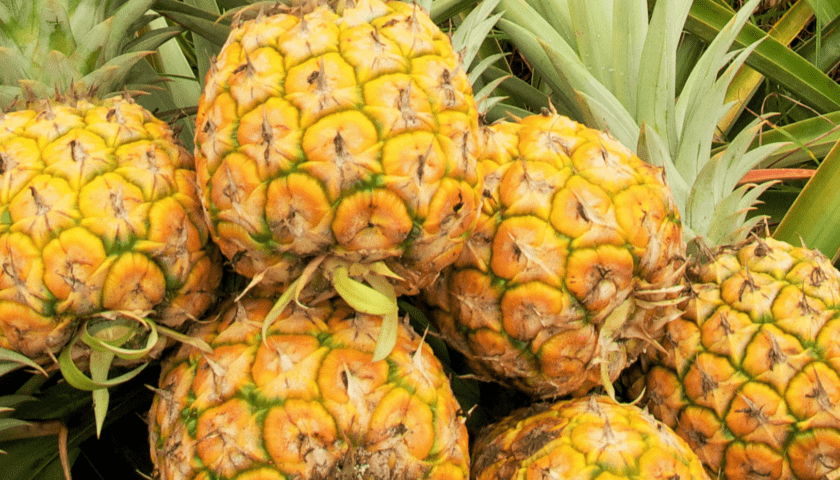 Pineapple