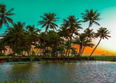 Kerala – Discuss About History and Best Thing To do In Kerala