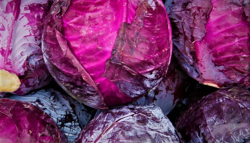 Red cabbage