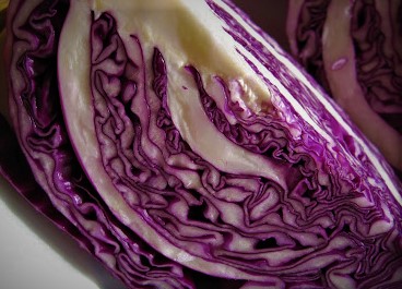 Red cabbage