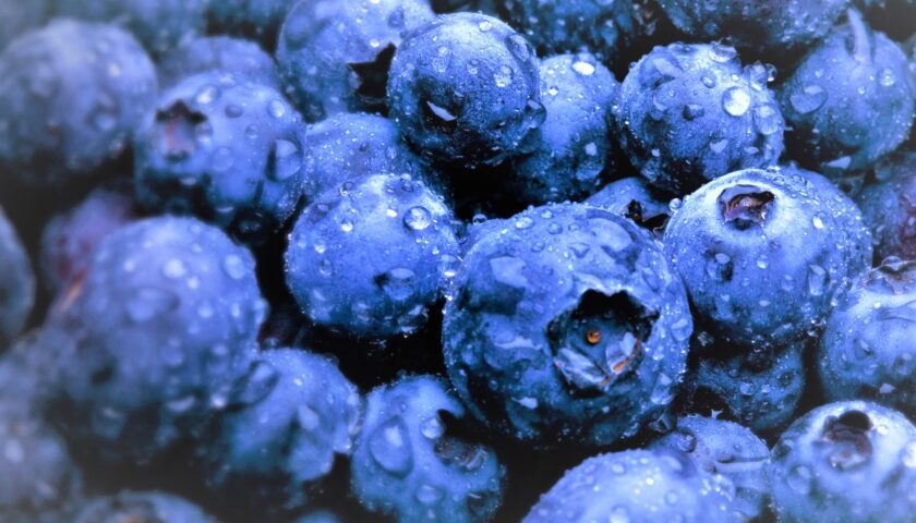 blueberry