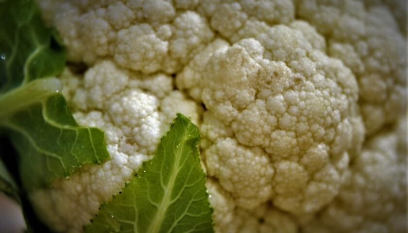 Cauliflower 