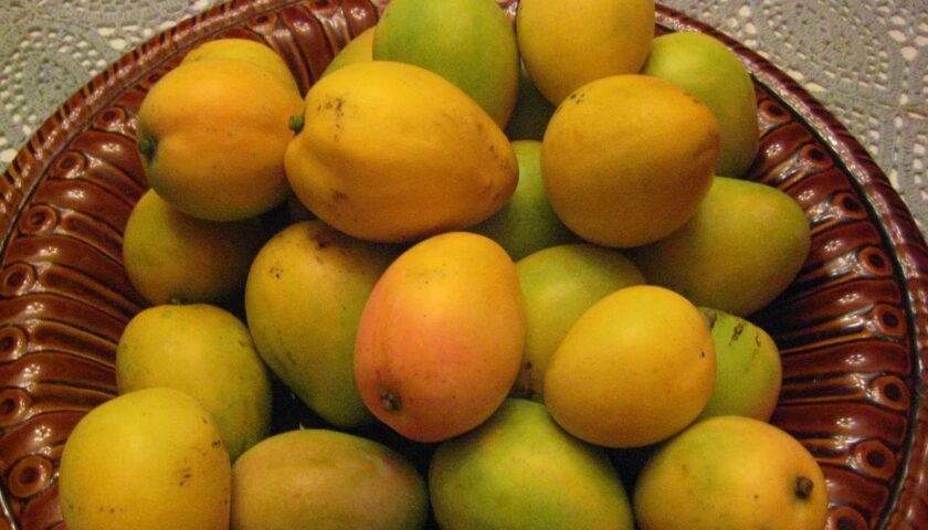 Mangoes