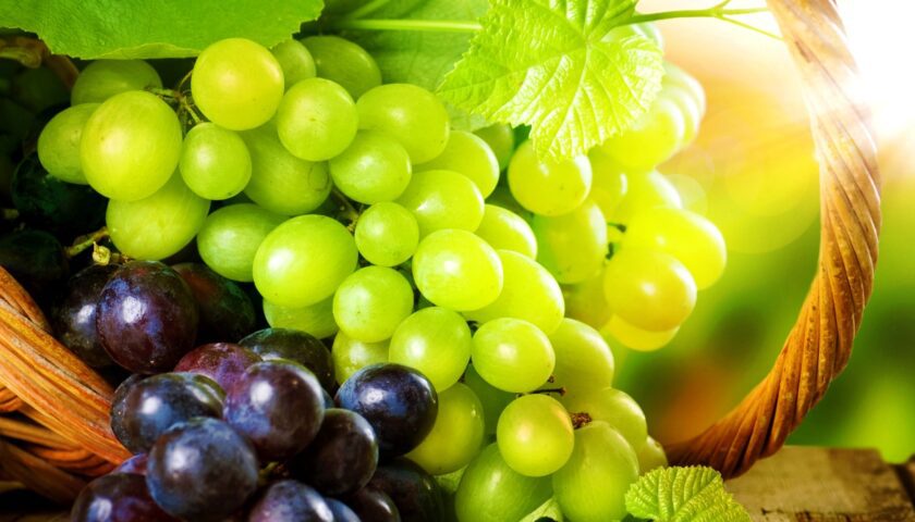 Grapes