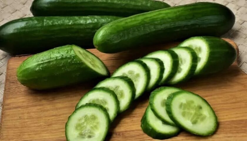 cucumber