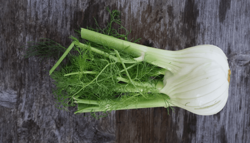 Fennel