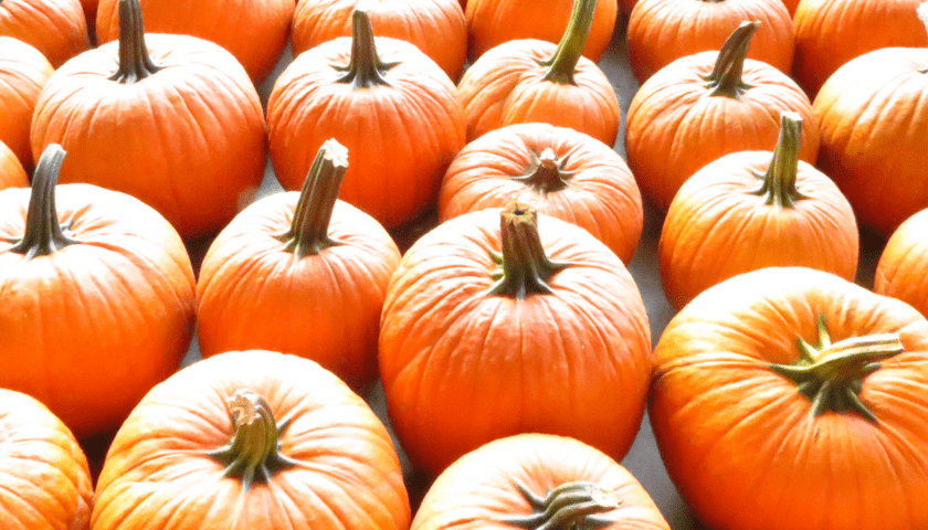 Pumpkins