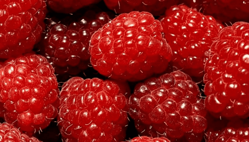 Raspberry