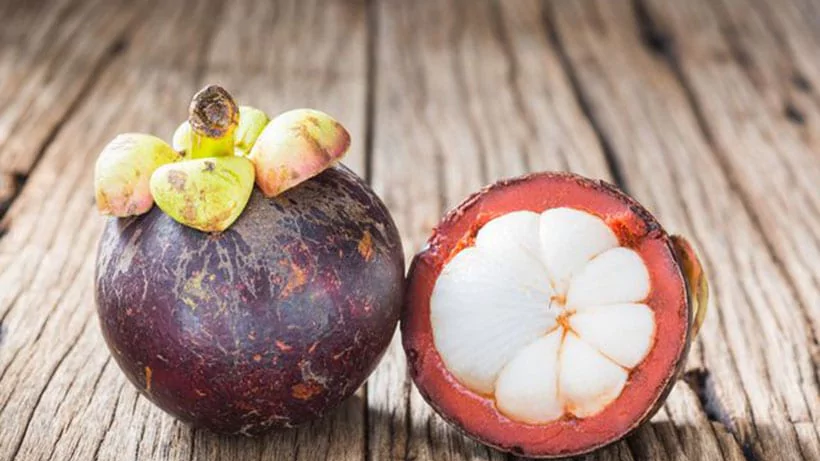 mangosteen