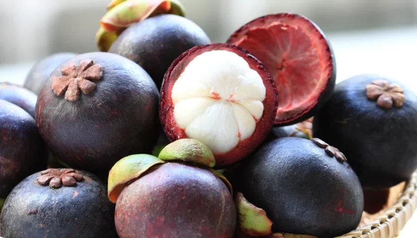 mangosteen