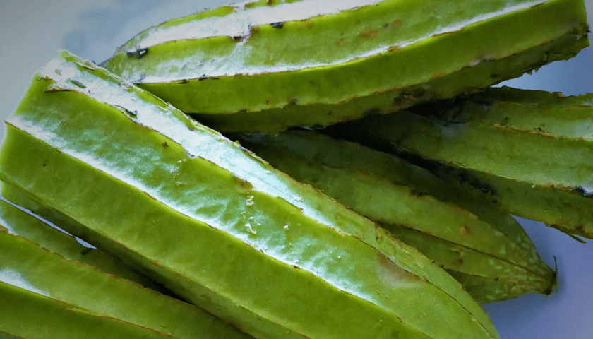 Ridge Gourd