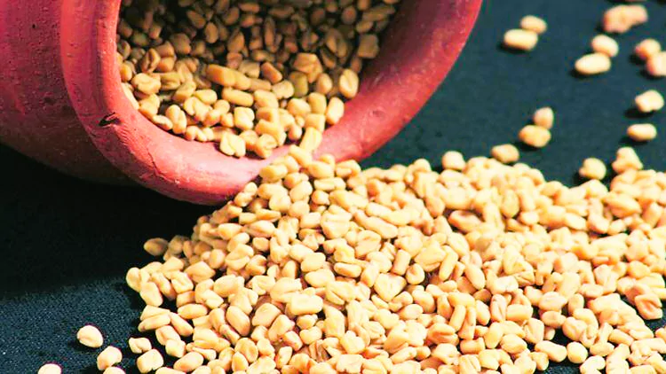 fenugreek