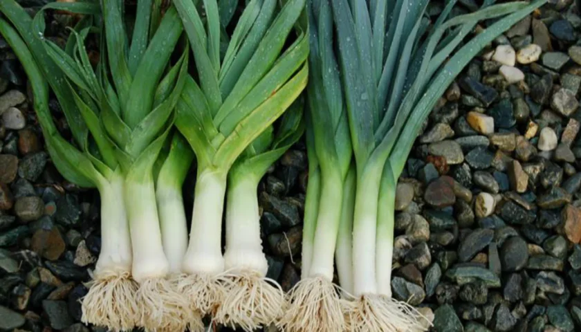 Leeks