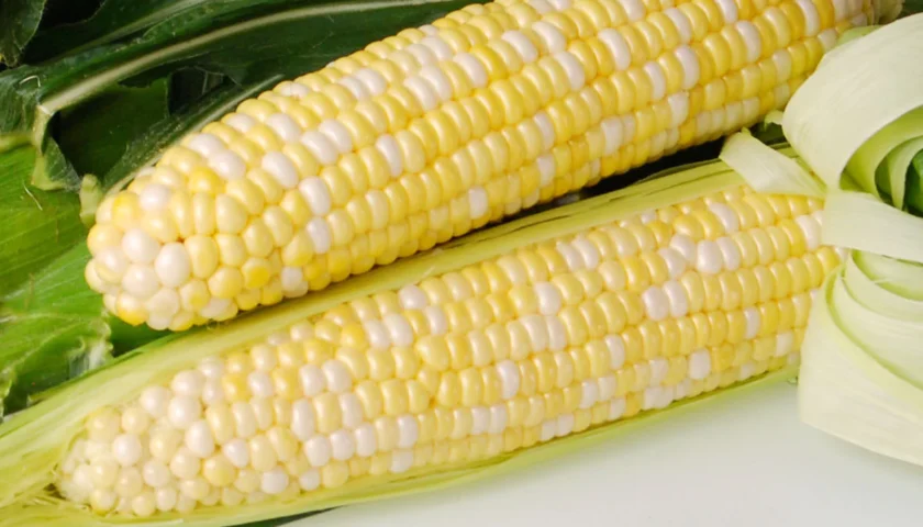 Corn