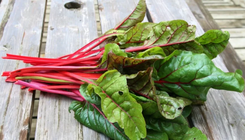 Swiss Chard